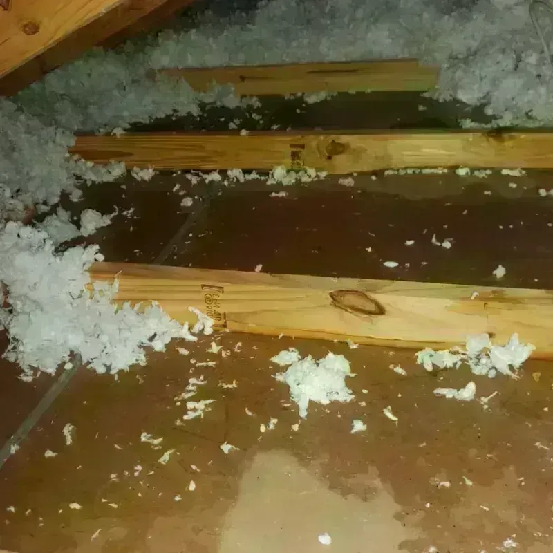 Attic Water Damage in Joliet, IL