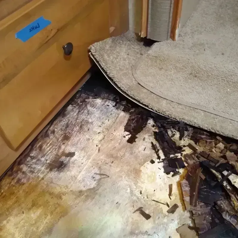 Wood Floor Water Damage in Joliet, IL